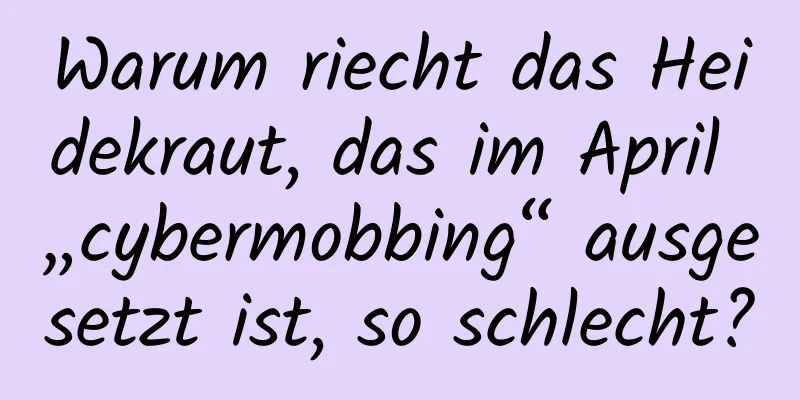 Warum riecht das Heidekraut, das im April „cybermobbing“ ausgesetzt ist, so schlecht?
