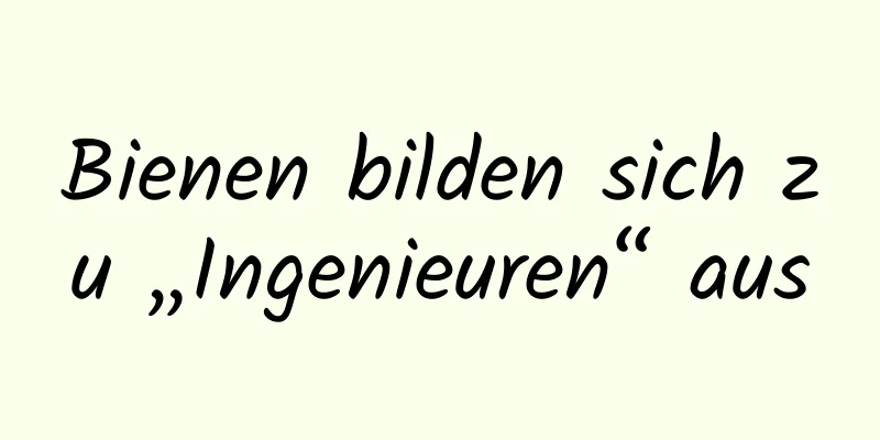 Bienen bilden sich zu „Ingenieuren“ aus