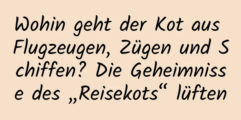 Wohin geht der Kot aus Flugzeugen, Zügen und Schiffen? Die Geheimnisse des „Reisekots“ lüften