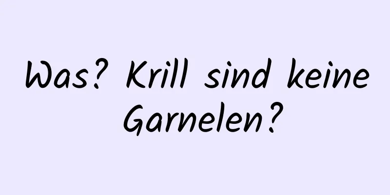 Was? Krill sind keine Garnelen?