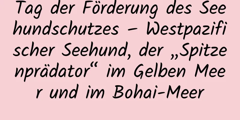 Tag der Förderung des Seehundschutzes – Westpazifischer Seehund, der „Spitzenprädator“ im Gelben Meer und im Bohai-Meer