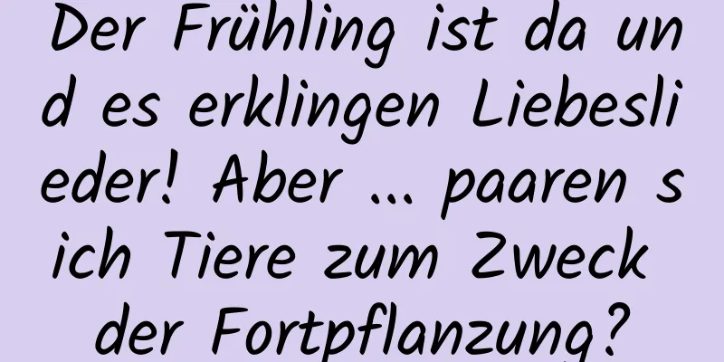 Der Frühling ist da und es erklingen Liebeslieder! Aber ... paaren sich Tiere zum Zweck der Fortpflanzung?