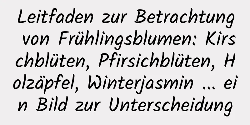 Leitfaden zur Betrachtung von Frühlingsblumen: Kirschblüten, Pfirsichblüten, Holzäpfel, Winterjasmin ... ein Bild zur Unterscheidung