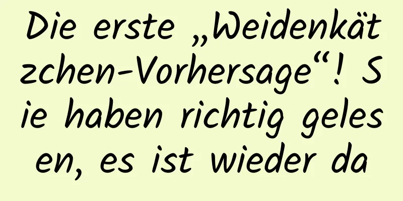Die erste „Weidenkätzchen-Vorhersage“! Sie haben richtig gelesen, es ist wieder da