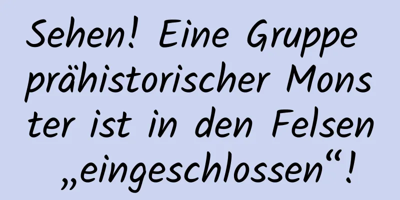Sehen! Eine Gruppe prähistorischer Monster ist in den Felsen „eingeschlossen“!