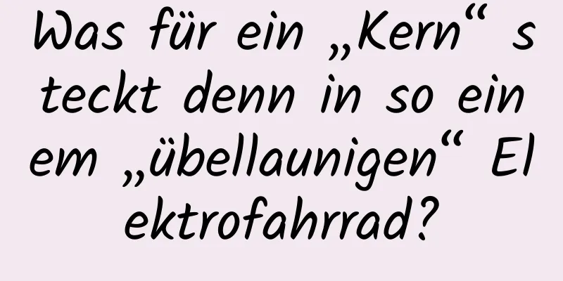Was für ein „Kern“ steckt denn in so einem „übellaunigen“ Elektrofahrrad?