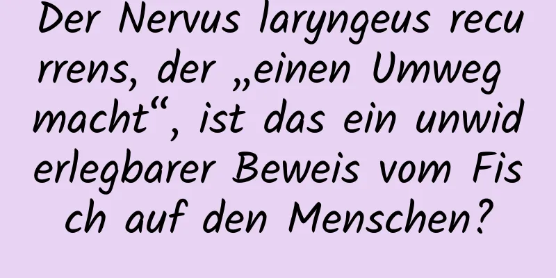 Der Nervus laryngeus recurrens, der „einen Umweg macht“, ist das ein unwiderlegbarer Beweis vom Fisch auf den Menschen?