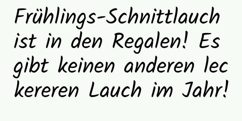 Frühlings-Schnittlauch ist in den Regalen! Es gibt keinen anderen leckereren Lauch im Jahr!