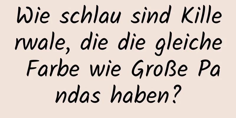 Wie schlau sind Killerwale, die die gleiche Farbe wie Große Pandas haben?