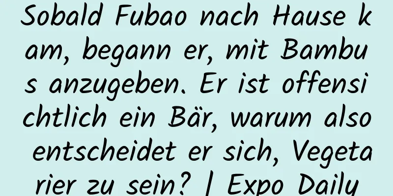 Sobald Fubao nach Hause kam, begann er, mit Bambus anzugeben. Er ist offensichtlich ein Bär, warum also entscheidet er sich, Vegetarier zu sein? | Expo Daily
