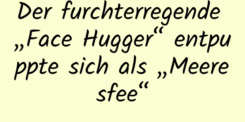 Der furchterregende „Face Hugger“ entpuppte sich als „Meeresfee“