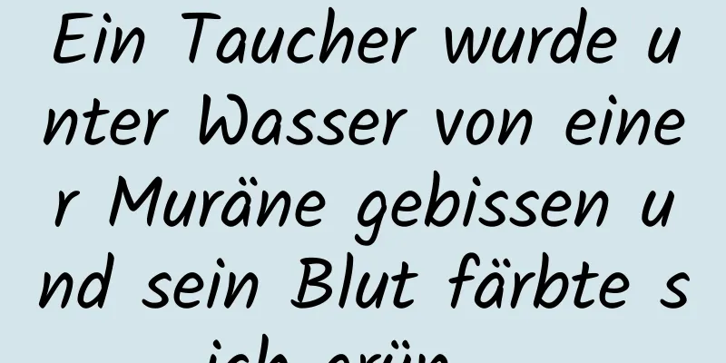 Ein Taucher wurde unter Wasser von einer Muräne gebissen und sein Blut färbte sich grün …
