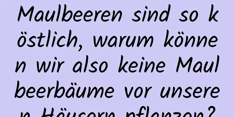 Maulbeeren sind so köstlich, warum können wir also keine Maulbeerbäume vor unseren Häusern pflanzen?