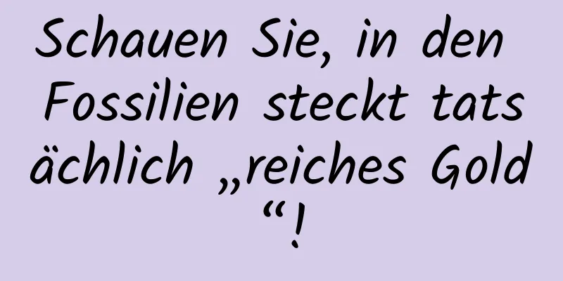 Schauen Sie, in den Fossilien steckt tatsächlich „reiches Gold“!