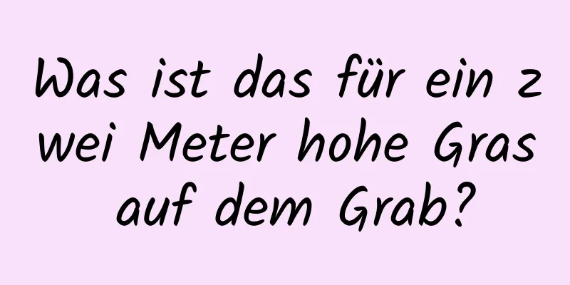 Was ist das für ein zwei Meter hohe Gras auf dem Grab?
