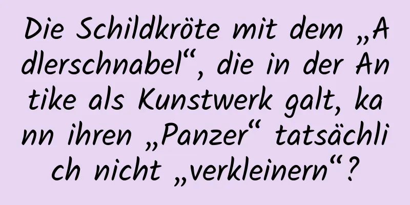 Die Schildkröte mit dem „Adlerschnabel“, die in der Antike als Kunstwerk galt, kann ihren „Panzer“ tatsächlich nicht „verkleinern“?
