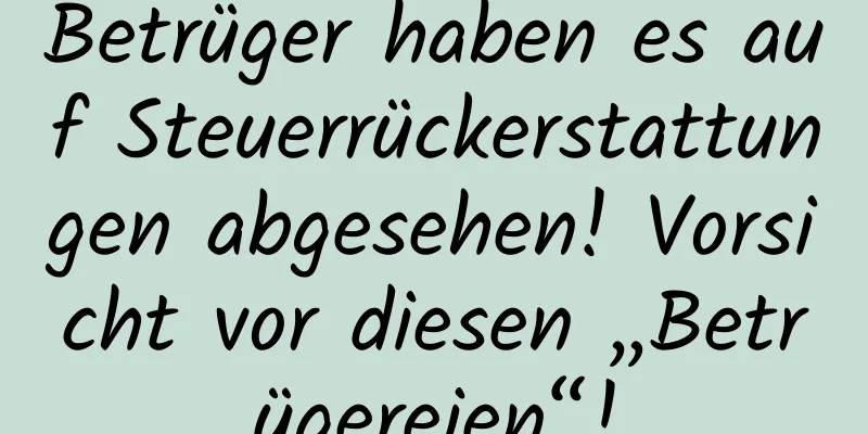 Betrüger haben es auf Steuerrückerstattungen abgesehen! Vorsicht vor diesen „Betrügereien“!