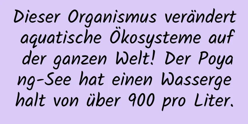 Dieser Organismus verändert aquatische Ökosysteme auf der ganzen Welt! Der Poyang-See hat einen Wassergehalt von über 900 pro Liter.