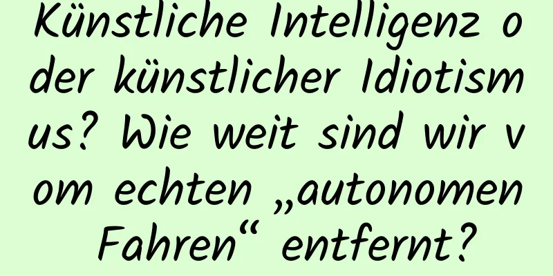 Künstliche Intelligenz oder künstlicher Idiotismus? Wie weit sind wir vom echten „autonomen Fahren“ entfernt?