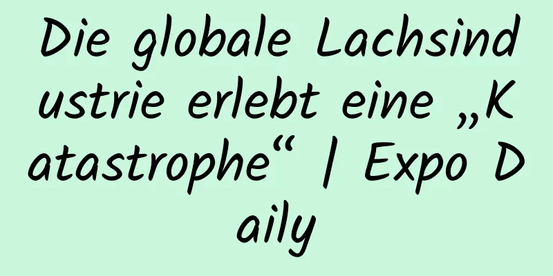 Die globale Lachsindustrie erlebt eine „Katastrophe“ | Expo Daily