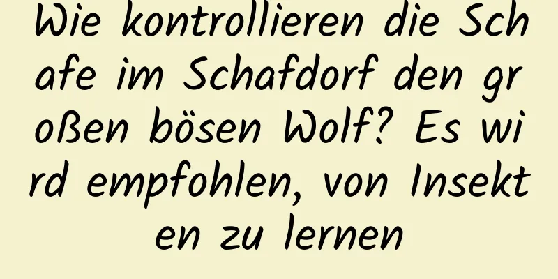 Wie kontrollieren die Schafe im Schafdorf den großen bösen Wolf? Es wird empfohlen, von Insekten zu lernen