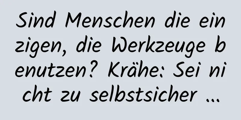 Sind Menschen die einzigen, die Werkzeuge benutzen? Krähe: Sei nicht zu selbstsicher ...