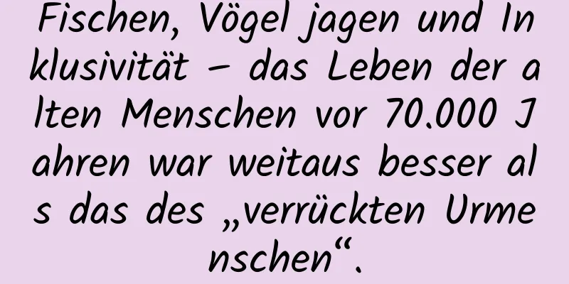 Fischen, Vögel jagen und Inklusivität – das Leben der alten Menschen vor 70.000 Jahren war weitaus besser als das des „verrückten Urmenschen“.