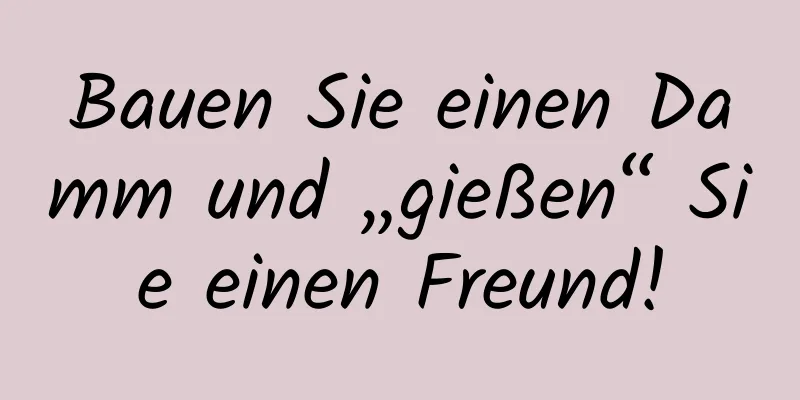 Bauen Sie einen Damm und „gießen“ Sie einen Freund!
