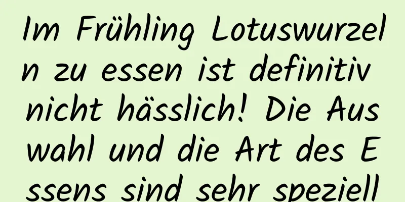 Im Frühling Lotuswurzeln zu essen ist definitiv nicht hässlich! Die Auswahl und die Art des Essens sind sehr speziell