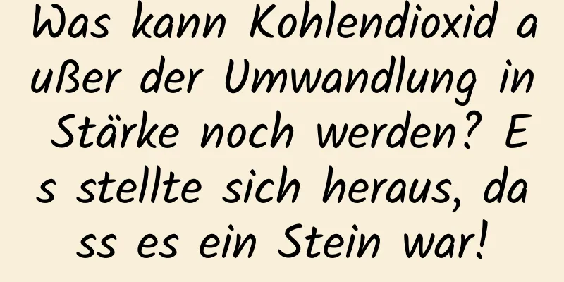 Was kann Kohlendioxid außer der Umwandlung in Stärke noch werden? Es stellte sich heraus, dass es ein Stein war!