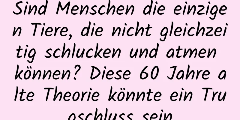 Sind Menschen die einzigen Tiere, die nicht gleichzeitig schlucken und atmen können? Diese 60 Jahre alte Theorie könnte ein Trugschluss sein