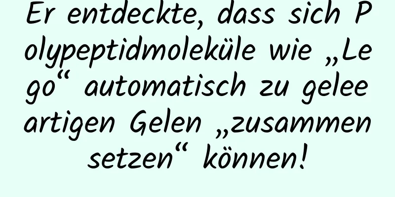 Er entdeckte, dass sich Polypeptidmoleküle wie „Lego“ automatisch zu geleeartigen Gelen „zusammensetzen“ können!