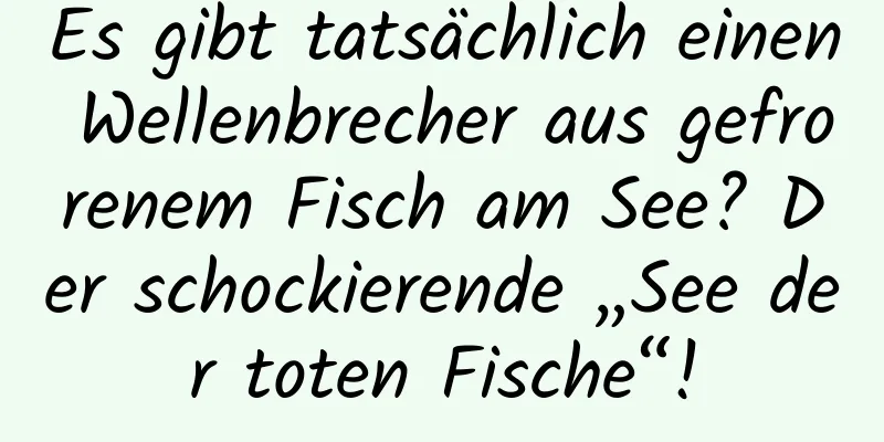 Es gibt tatsächlich einen Wellenbrecher aus gefrorenem Fisch am See? Der schockierende „See der toten Fische“!