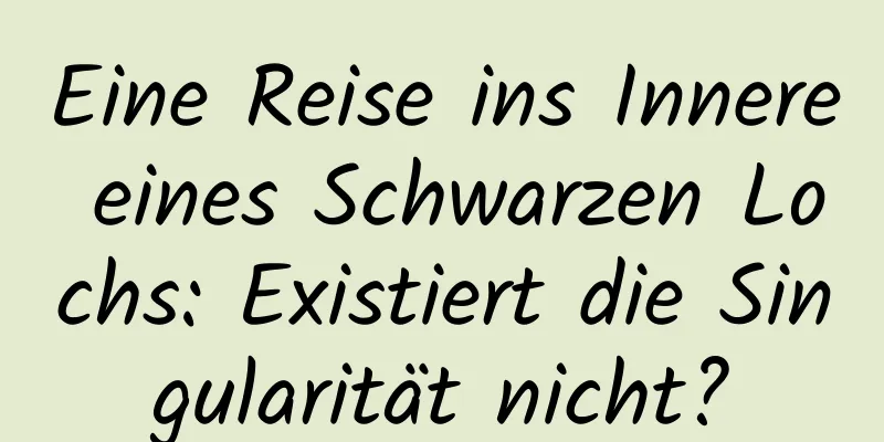Eine Reise ins Innere eines Schwarzen Lochs: Existiert die Singularität nicht?