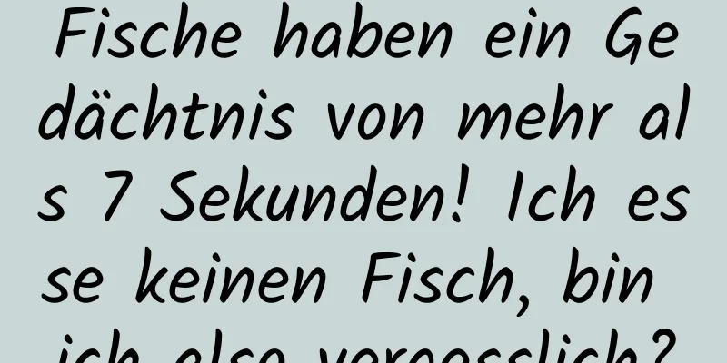 Fische haben ein Gedächtnis von mehr als 7 Sekunden! Ich esse keinen Fisch, bin ich also vergesslich?