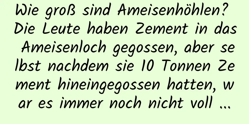 Wie groß sind Ameisenhöhlen? Die Leute haben Zement in das Ameisenloch gegossen, aber selbst nachdem sie 10 Tonnen Zement hineingegossen hatten, war es immer noch nicht voll ...