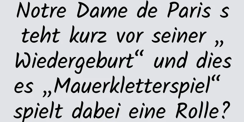 Notre Dame de Paris steht kurz vor seiner „Wiedergeburt“ und dieses „Mauerkletterspiel“ spielt dabei eine Rolle?