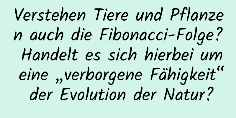 Verstehen Tiere und Pflanzen auch die Fibonacci-Folge? Handelt es sich hierbei um eine „verborgene Fähigkeit“ der Evolution der Natur?