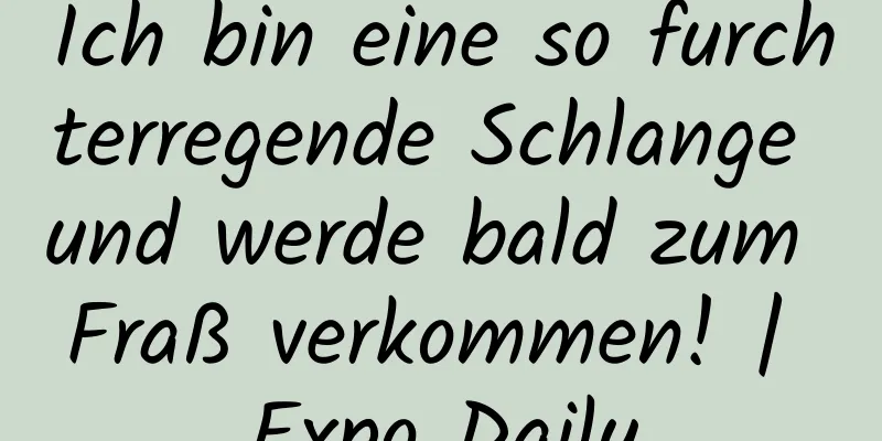 Ich bin eine so furchterregende Schlange und werde bald zum Fraß verkommen! | Expo Daily