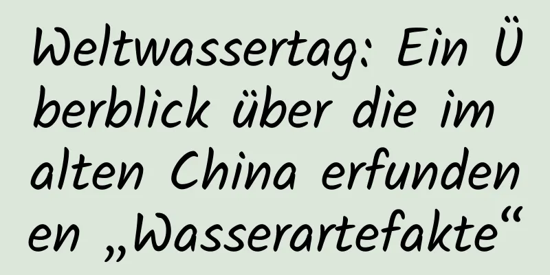 Weltwassertag: Ein Überblick über die im alten China erfundenen „Wasserartefakte“