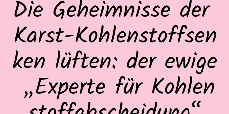 Die Geheimnisse der Karst-Kohlenstoffsenken lüften: der ewige „Experte für Kohlenstoffabscheidung“
