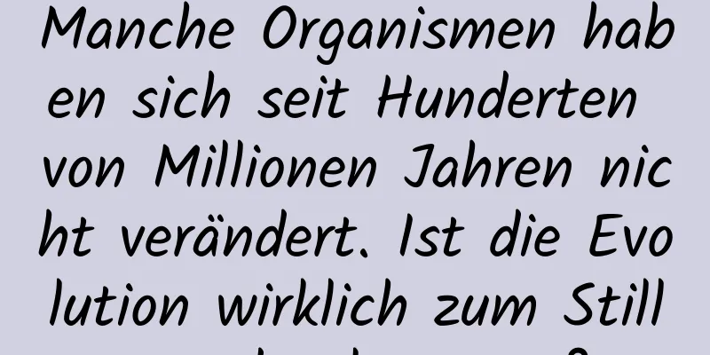 Manche Organismen haben sich seit Hunderten von Millionen Jahren nicht verändert. Ist die Evolution wirklich zum Stillstand gekommen?