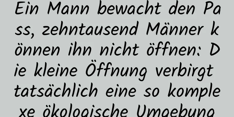 Ein Mann bewacht den Pass, zehntausend Männer können ihn nicht öffnen: Die kleine Öffnung verbirgt tatsächlich eine so komplexe ökologische Umgebung