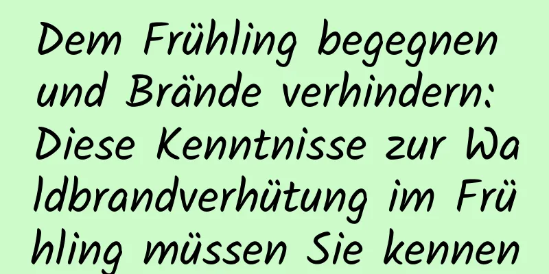 Dem Frühling begegnen und Brände verhindern: Diese Kenntnisse zur Waldbrandverhütung im Frühling müssen Sie kennen
