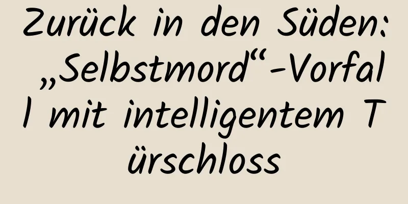 Zurück in den Süden: „Selbstmord“-Vorfall mit intelligentem Türschloss