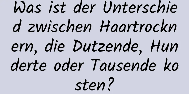 Was ist der Unterschied zwischen Haartrocknern, die Dutzende, Hunderte oder Tausende kosten?