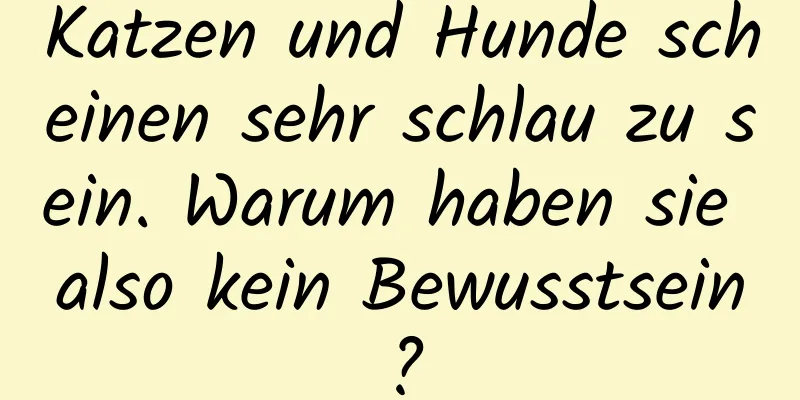 Katzen und Hunde scheinen sehr schlau zu sein. Warum haben sie also kein Bewusstsein?