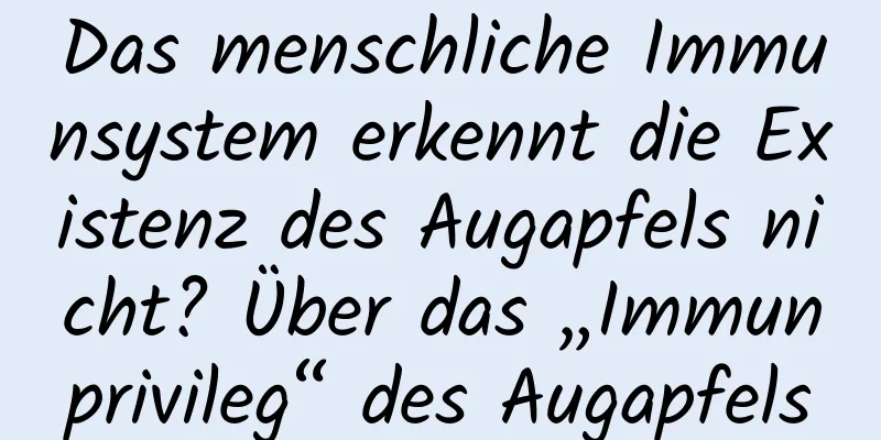 Das menschliche Immunsystem erkennt die Existenz des Augapfels nicht? Über das „Immunprivileg“ des Augapfels