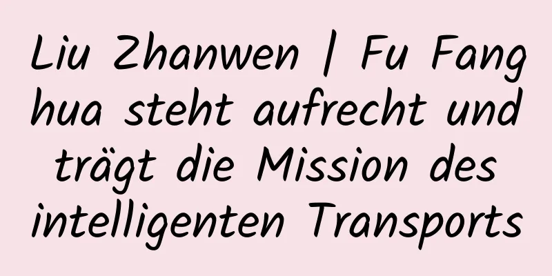 Liu Zhanwen | Fu Fanghua steht aufrecht und trägt die Mission des intelligenten Transports