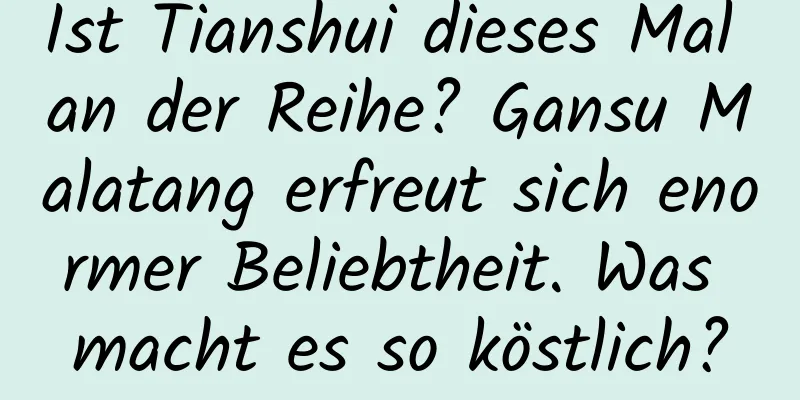 Ist Tianshui dieses Mal an der Reihe? Gansu Malatang erfreut sich enormer Beliebtheit. Was macht es so köstlich?